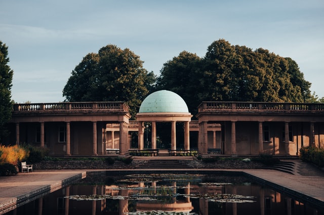 Esme Clark Gardening